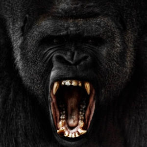 Meet your Posher, Younganakin